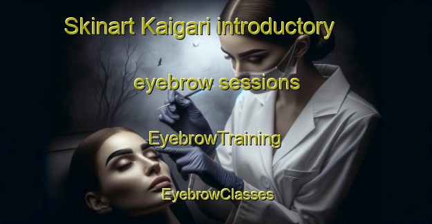 Skinart Kaigari introductory eyebrow sessions | EyebrowTraining | EyebrowClasses | SkinartTraining-Bangladesh