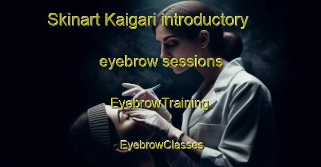 Skinart Kaigari introductory eyebrow sessions | EyebrowTraining | EyebrowClasses | SkinartTraining-Bangladesh