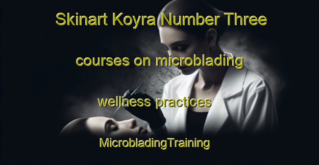 Skinart Koyra Number Three courses on microblading wellness practices | MicrobladingTraining | MicrobladingClasses | SkinartTraining-Bangladesh