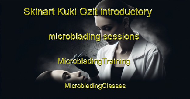 Skinart Kuki Ozit introductory microblading sessions | #MicrobladingTraining #MicrobladingClasses #SkinartTraining-Bangladesh