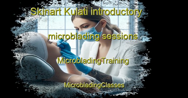 Skinart Kulati introductory microblading sessions | #MicrobladingTraining #MicrobladingClasses #SkinartTraining-Bangladesh