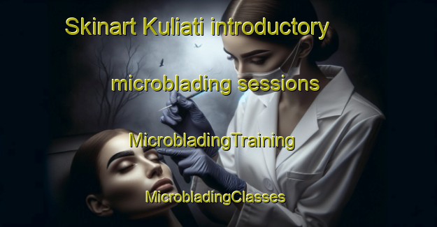 Skinart Kuliati introductory microblading sessions | MicrobladingTraining | MicrobladingClasses | SkinartTraining-Bangladesh