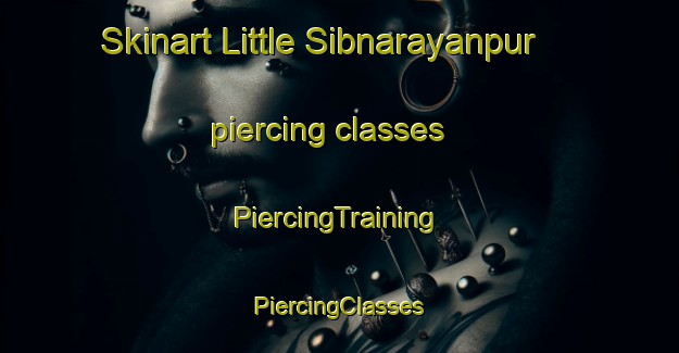 Skinart Little Sibnarayanpur piercing classes | #PiercingTraining #PiercingClasses #SkinartTraining-Bangladesh