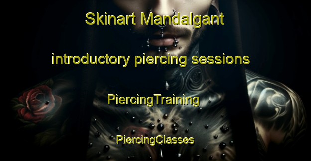 Skinart Mandalgant introductory piercing sessions | #PiercingTraining #PiercingClasses #SkinartTraining-Bangladesh