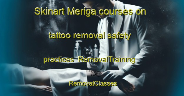 Skinart Meriga courses on tattoo removal safety practices | RemovalTraining | RemovalClasses | SkinartTraining-Bangladesh