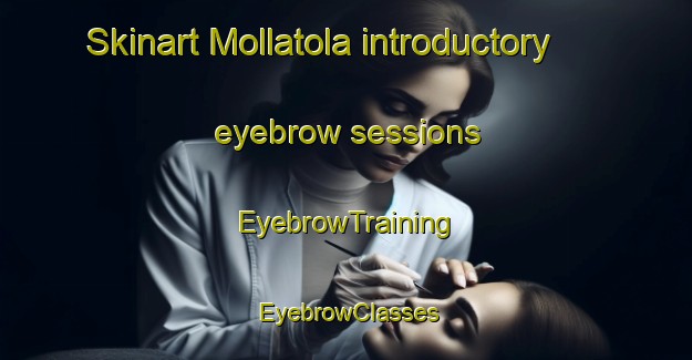 Skinart Mollatola introductory eyebrow sessions | EyebrowTraining | EyebrowClasses | SkinartTraining-Bangladesh
