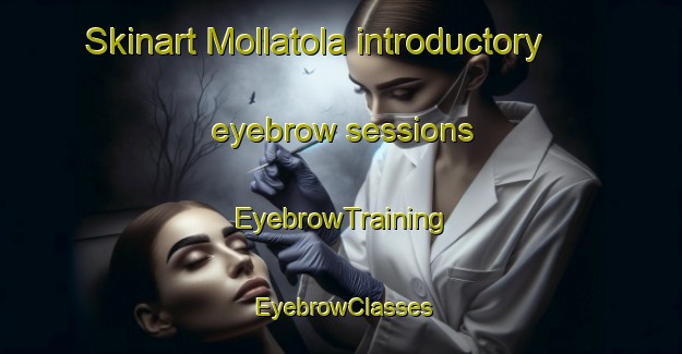 Skinart Mollatola introductory eyebrow sessions | EyebrowTraining | EyebrowClasses | SkinartTraining-Bangladesh