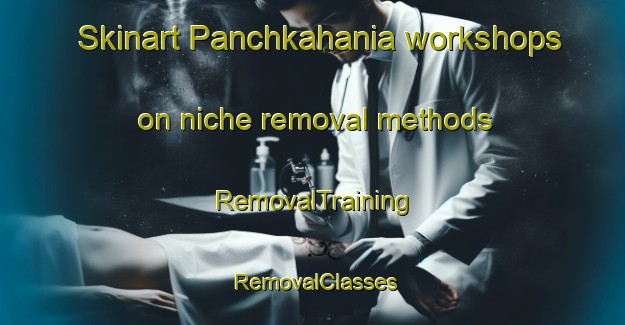 Skinart Panchkahania workshops on niche removal methods | RemovalTraining | RemovalClasses | SkinartTraining-Bangladesh