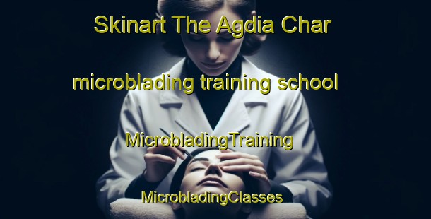 Skinart The Agdia Char microblading training school | MicrobladingTraining | MicrobladingClasses | SkinartTraining-Bangladesh
