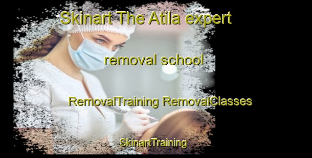 Skinart The Atila expert removal school | #RemovalTraining #RemovalClasses #SkinartTraining-Bangladesh