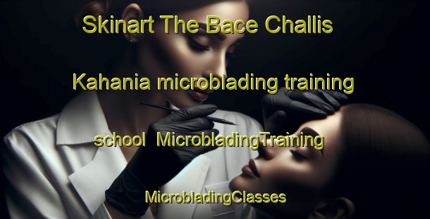 Skinart The Bace Challis Kahania microblading training school | #MicrobladingTraining #MicrobladingClasses #SkinartTraining-Bangladesh