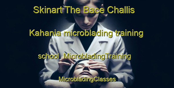 Skinart The Bace Challis Kahania microblading training school | #MicrobladingTraining #MicrobladingClasses #SkinartTraining-Bangladesh