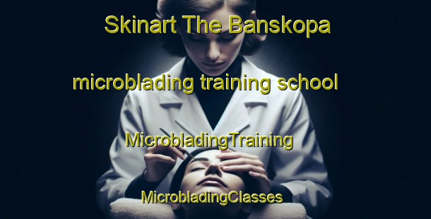 Skinart The Banskopa microblading training school | MicrobladingTraining | MicrobladingClasses | SkinartTraining-Bangladesh
