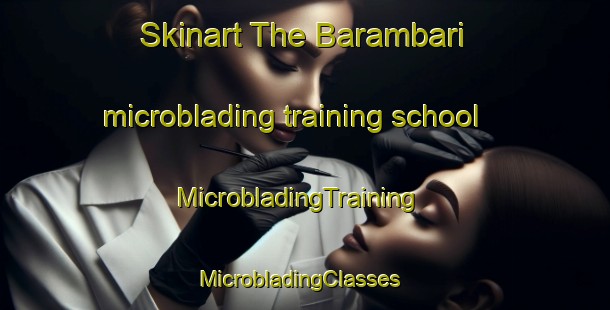 Skinart The Barambari microblading training school | MicrobladingTraining | MicrobladingClasses | SkinartTraining-Bangladesh