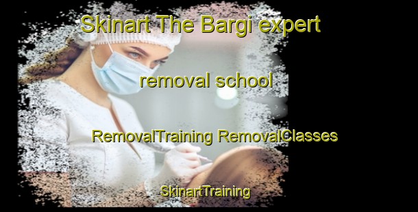 Skinart The Bargi expert removal school | #RemovalTraining #RemovalClasses #SkinartTraining-Bangladesh