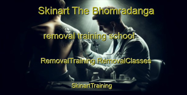 Skinart The Bhomradanga removal training school | #RemovalTraining #RemovalClasses #SkinartTraining-Bangladesh