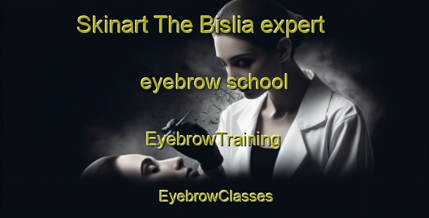 Skinart The Bislia expert eyebrow school | EyebrowTraining | EyebrowClasses | SkinartTraining-Bangladesh