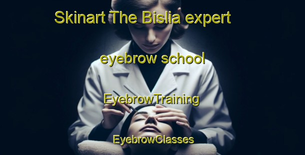 Skinart The Bislia expert eyebrow school | EyebrowTraining | EyebrowClasses | SkinartTraining-Bangladesh