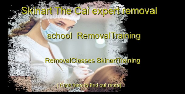 Skinart The Cai expert removal school | #RemovalTraining #RemovalClasses #SkinartTraining-Bangladesh