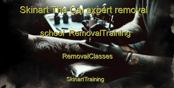 Skinart The Cai expert removal school | RemovalTraining | RemovalClasses | SkinartTraining-Bangladesh