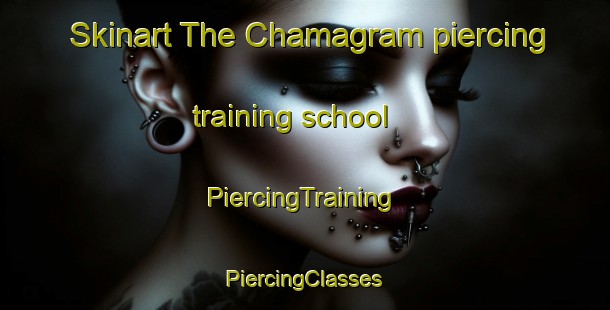 Skinart The Chamagram piercing training school | #PiercingTraining #PiercingClasses #SkinartTraining-Bangladesh