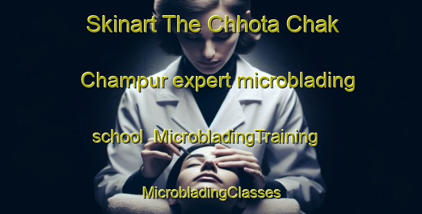 Skinart The Chhota Chak Champur expert microblading school | #MicrobladingTraining #MicrobladingClasses #SkinartTraining-Bangladesh