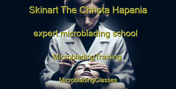 Skinart The Chhota Hapania expert microblading school | #MicrobladingTraining #MicrobladingClasses #SkinartTraining-Bangladesh