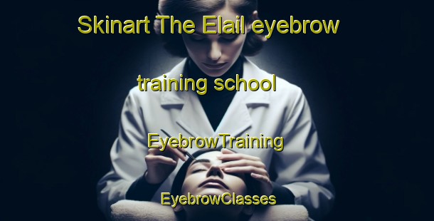 Skinart The Elail eyebrow training school | EyebrowTraining | EyebrowClasses | SkinartTraining-Bangladesh