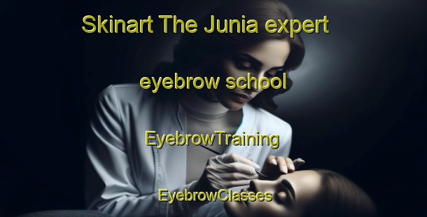 Skinart The Junia expert eyebrow school | EyebrowTraining | EyebrowClasses | SkinartTraining-Bangladesh