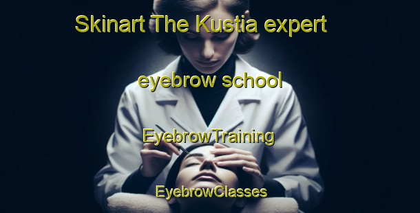 Skinart The Kustia expert eyebrow school | EyebrowTraining | EyebrowClasses | SkinartTraining-Bangladesh