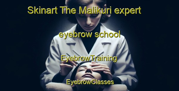 Skinart The Malikuri expert eyebrow school | EyebrowTraining | EyebrowClasses | SkinartTraining-Bangladesh