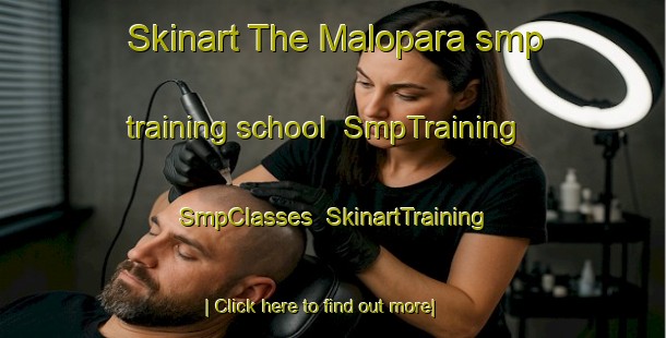 Skinart The Malopara smp training school | SmpTraining | SmpClasses | SkinartTraining-Bangladesh
