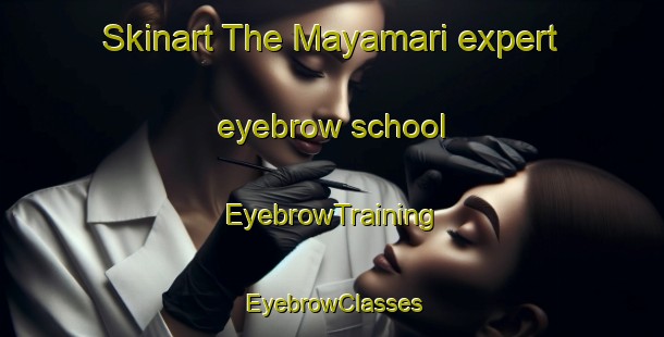 Skinart The Mayamari expert eyebrow school | EyebrowTraining | EyebrowClasses | SkinartTraining-Bangladesh