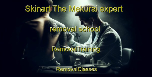 Skinart The Mekurai expert removal school | RemovalTraining | RemovalClasses | SkinartTraining-Bangladesh