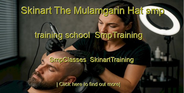 Skinart The Mulamgarin Hat smp training school | SmpTraining | SmpClasses | SkinartTraining-Bangladesh