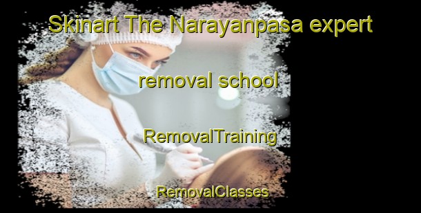Skinart The Narayanpasa expert removal school | RemovalTraining | RemovalClasses | SkinartTraining-Bangladesh