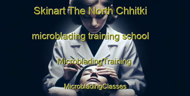 Skinart The North Chhitki microblading training school | #MicrobladingTraining #MicrobladingClasses #SkinartTraining-Bangladesh