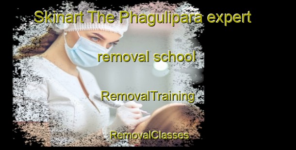 Skinart The Phagulipara expert removal school | RemovalTraining | RemovalClasses | SkinartTraining-Bangladesh