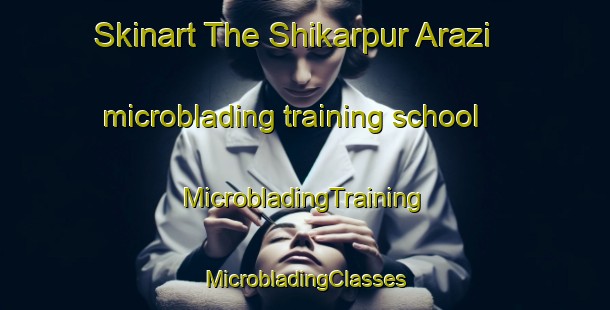 Skinart The Shikarpur Arazi microblading training school | #MicrobladingTraining #MicrobladingClasses #SkinartTraining-Bangladesh