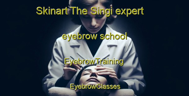 Skinart The Singi expert eyebrow school | EyebrowTraining | EyebrowClasses | SkinartTraining-Bangladesh