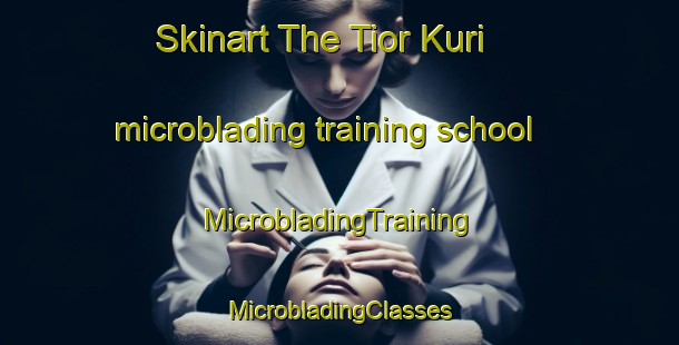 Skinart The Tior Kuri microblading training school | #MicrobladingTraining #MicrobladingClasses #SkinartTraining-Bangladesh