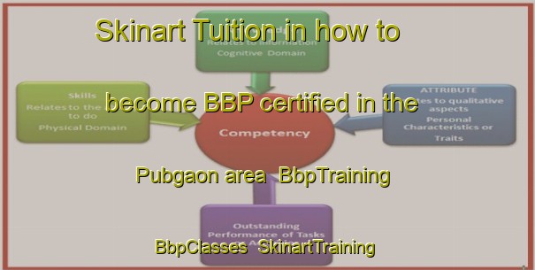Skinart Tuition in how to become BBP certified in the Pubgaon area | BbpTraining | BbpClasses | SkinartTraining-Bangladesh