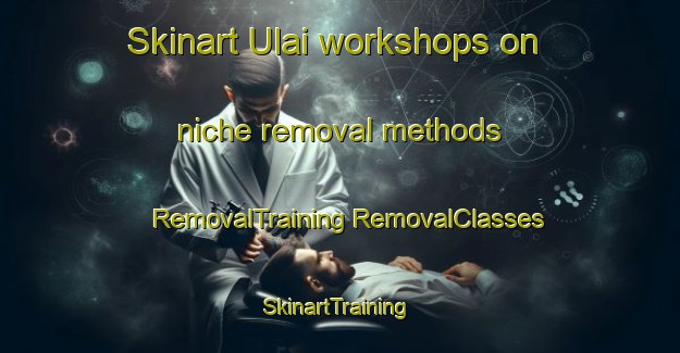 Skinart Ulai workshops on niche removal methods | #RemovalTraining #RemovalClasses #SkinartTraining-Bangladesh