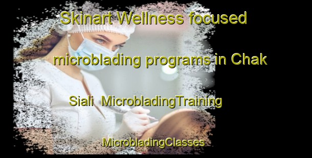 Skinart Wellness-focused microblading programs in Chak Siali | MicrobladingTraining | MicrobladingClasses | SkinartTraining-Bangladesh