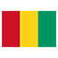 Guinea Flag