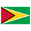 Guyana Flag